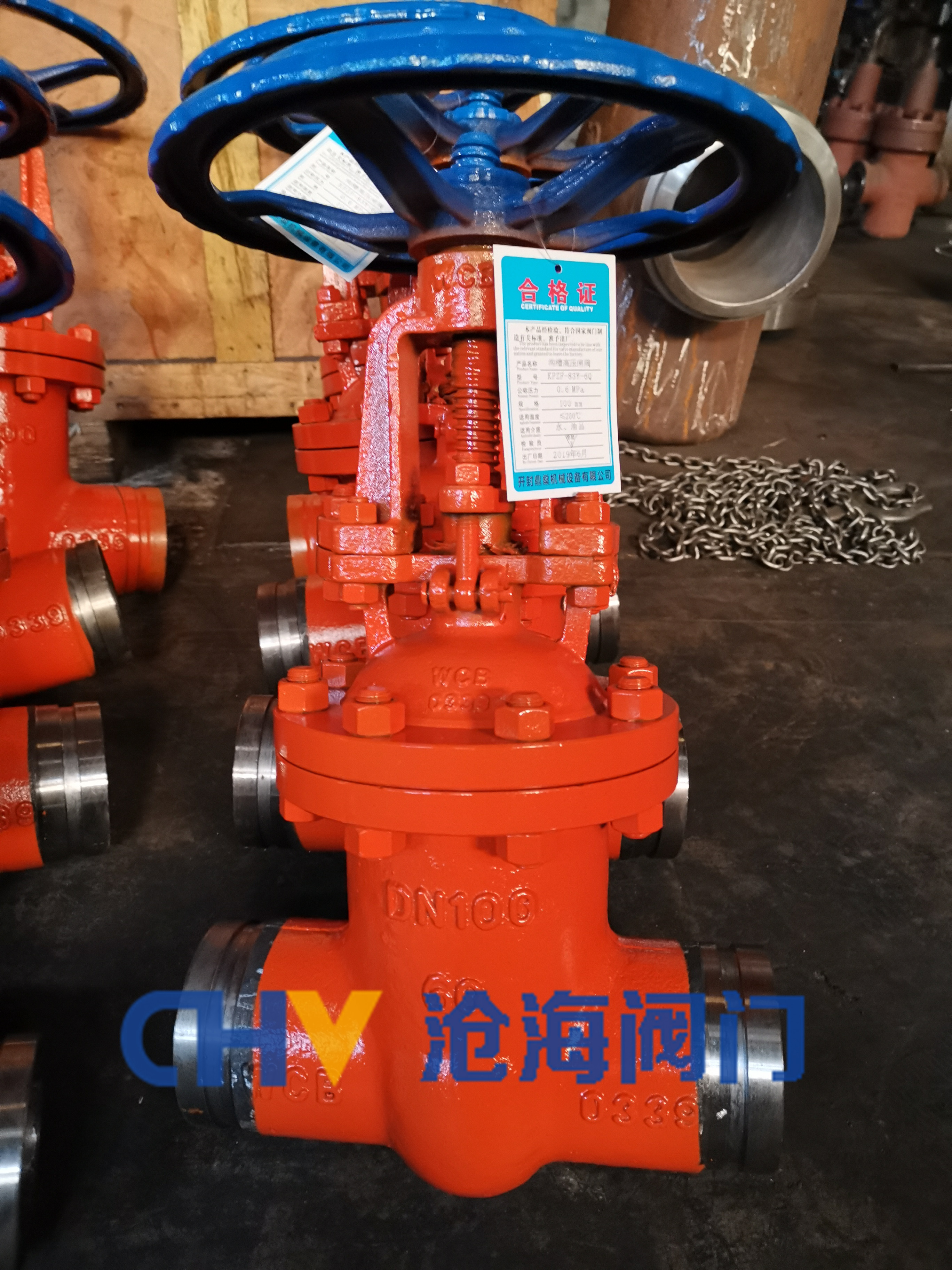 GY93Y-16-DN100.jpg
